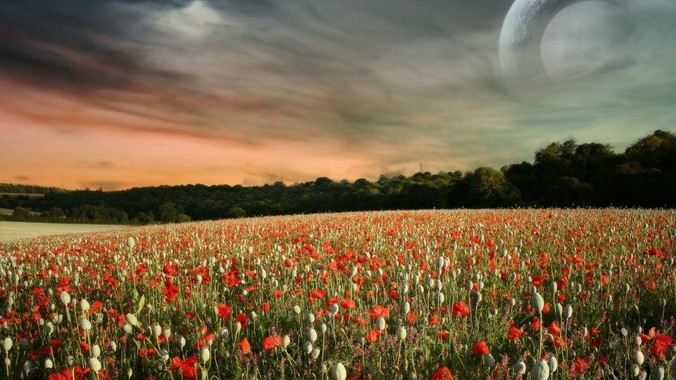 The Core Electric Forklift